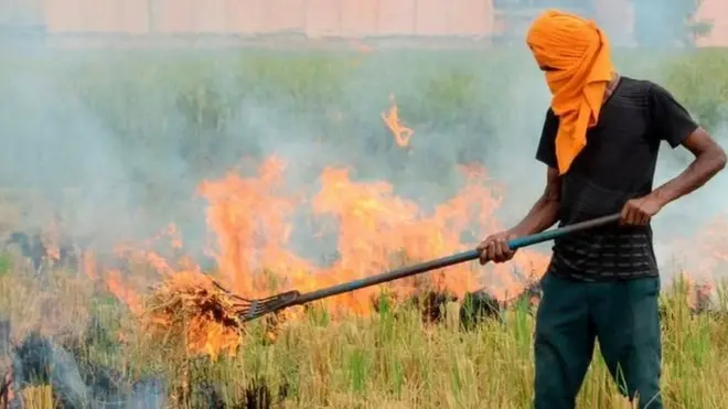 'जबतक सब्सिडी नहीं देंगे, पराली जलाते रहेंगे'