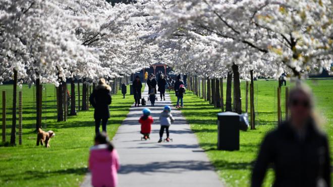 Families walk under cherry blossom trees in Battersea Park, as the number of coronavirus disease (COVID-19) cases grow around the world, in London, Britain March 22, 2020