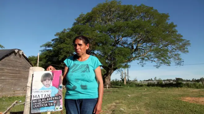 Gladys Arévalo, la madre de Emilio, y el árbol bajo el cual Nicolás "inhaló el veneno".