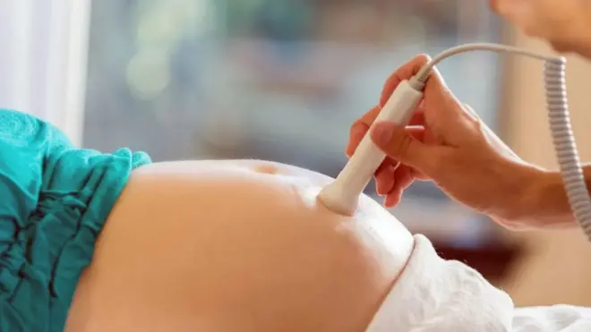 ایک بیضے کو تیار ہونے میں اتنا ہی وقت لگتا ہے جتنا حمل کے پورا ہونے میں، یعنی نو مہینے۔