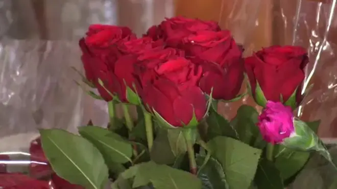 من الصعب أن تجد وروداً في أوقات الحرب، وخصوصاً في اليمن.