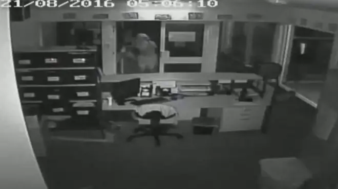 Три крокодила были подброшены в одну из австралийских школ неизвестными хулиганами. Причина данного поступка неизвестна.