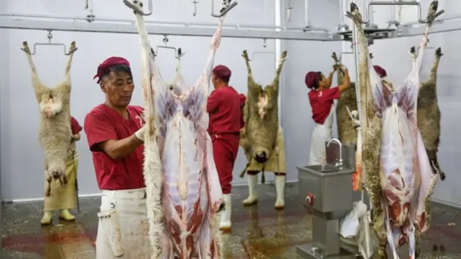 الأطعمة الحلال