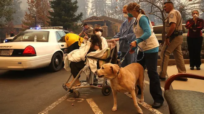 пожары в Калифорнии