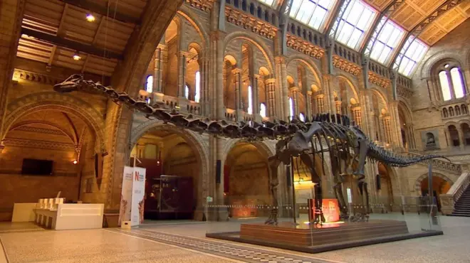 диплодок Діппі