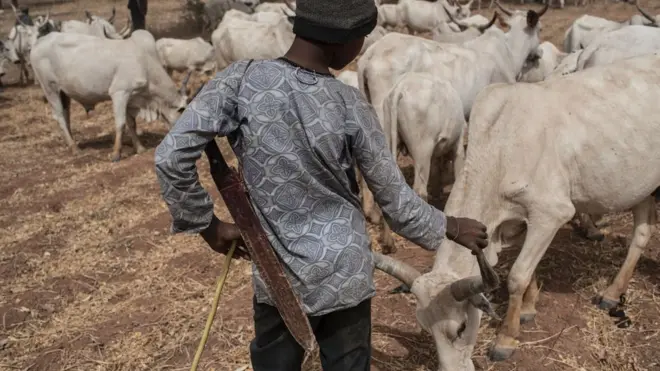 Ihe mere ta bụ n'etiti onye ọrụ ụgbọ na onye ọchịehi