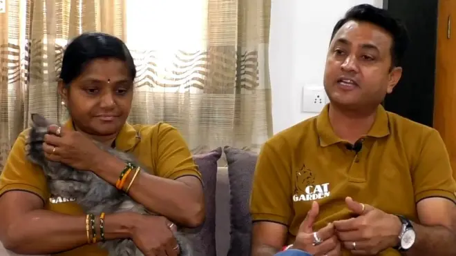 పిల్లుల కోసం నెలకు రూ.1.5 లక్షలు ఖర్చు