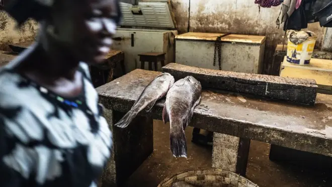 Cette femme s'est rendue dans un marché de poisson en Gambie