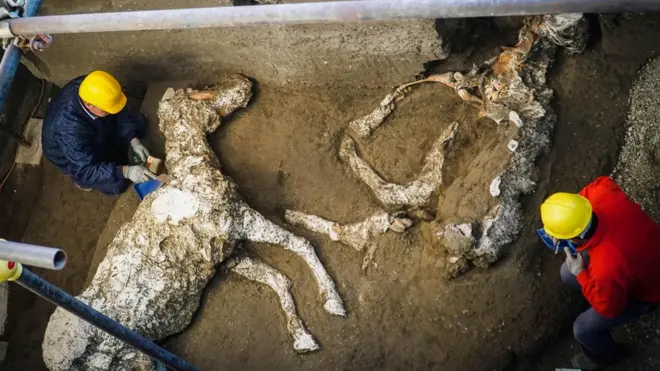 The find of a tall, full-bodied and well-groomed with the saddle and the richly decorated bronze trimmings was discovered in a large villa that stood just outside the walls of Pompeii in May 2018