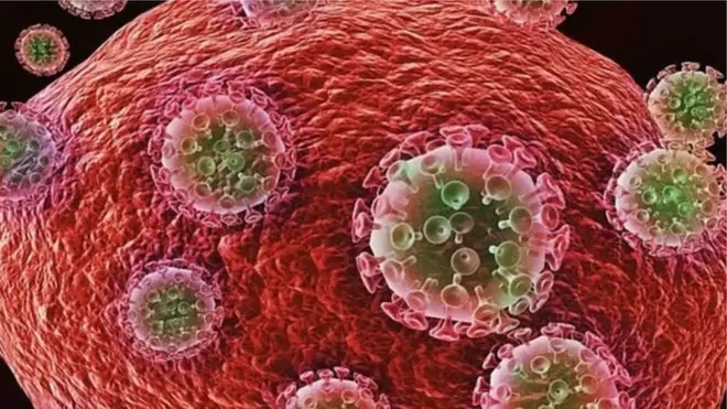 కరోనావైరస్