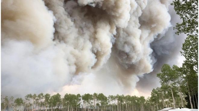 دخان ناجم عن حريق في غابة