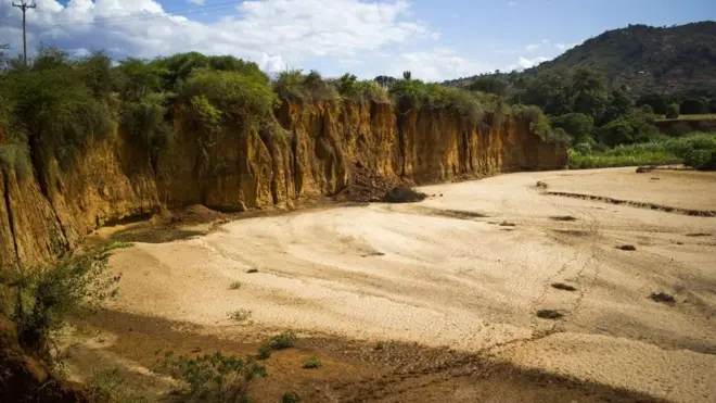 Cirracha barbaacha yoo qotamu akkasiin qabeenyaan uumamaa kan biraa barbadeessa