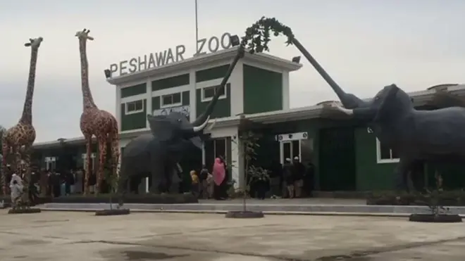 پشاور چڑیا گھر