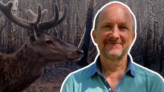 Сергій Гащак