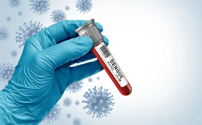 Dengue