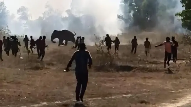 ఏనుగు దాడి, ఝార్ఖండ్