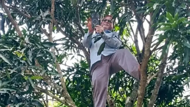 প্রধান শিক্ষকের গাছে ওঠার একটি ভিডিও সামাজিক মাধ্যমে সম্প্রতি ছড়িয়ে পড়ে