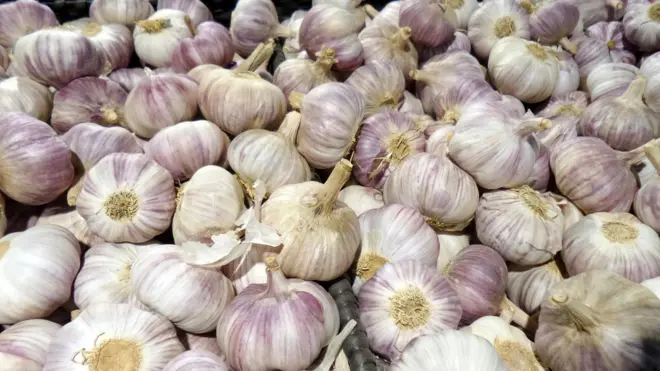 تصویر سیر