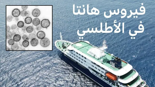 فايروس هانتا