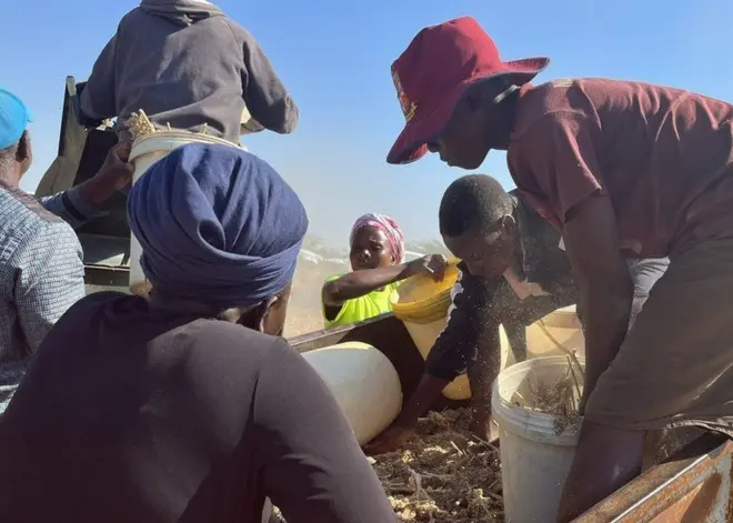 Des hommes et des femmes autour du moulin à mil