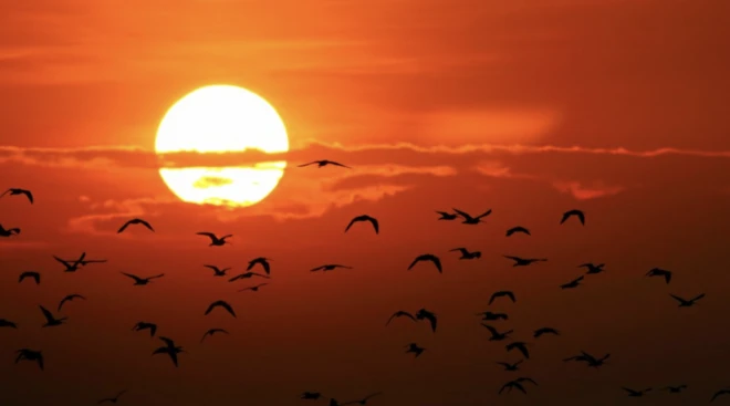 थाइल्याण्ड