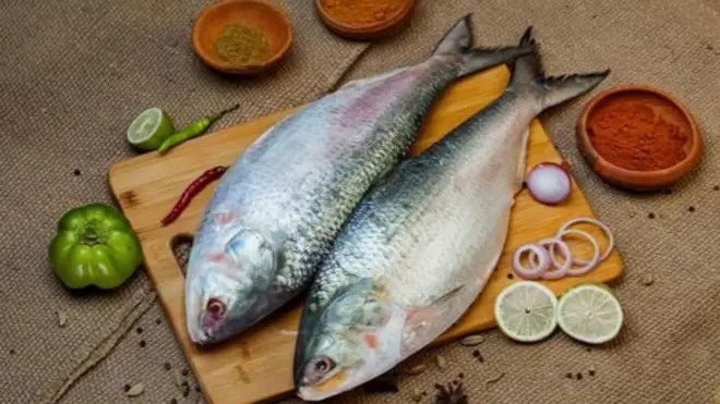 भारत-बांगलादेशमधील 'फिश डिप्लोमसी' काय आहे? त्याला यंदा तडा जाऊ शकतो?