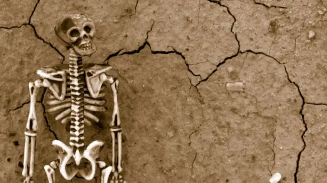 डीएनए, तमिळ