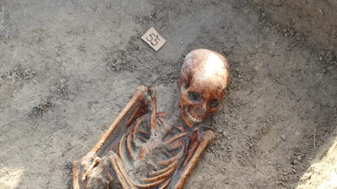 යාපනය, චෙම්මනි සිත්තුපාත්තු සුසාන භූමිය ආසන්නයේ මිනිස් අස්ථි කොටස් සොයා ක්‍රියාත්මක කළ තුන්වන අදියරේ කැණීම් (ජුලි 10වැනිදා) අවසන් කළ බව කැනීම් නිළධාරීහු පවසති.