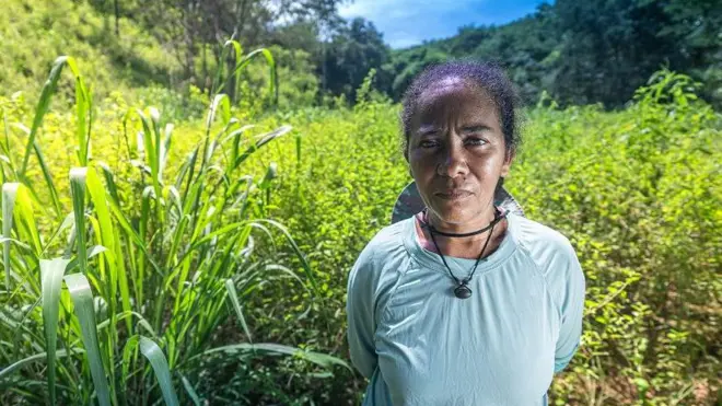 Catarina Oliveira da Silvaaviator galera betfrente ao lago