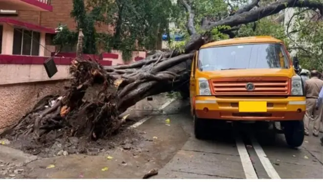 संग्रहित