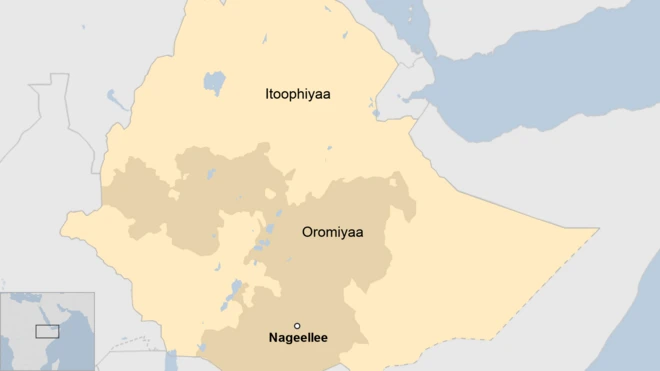 Nageelleen magaalaa gudditti Godina Gujiiti