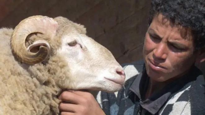 ምስ ጻዕዳ በጊዕ ዝርአ መንእሰይ