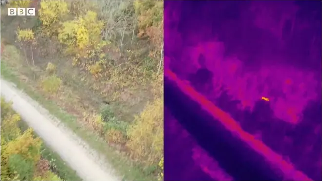 డ్రోన్ టెక్నాలజీతో కుక్కల్ని కాపాడుతున్న మహిళ