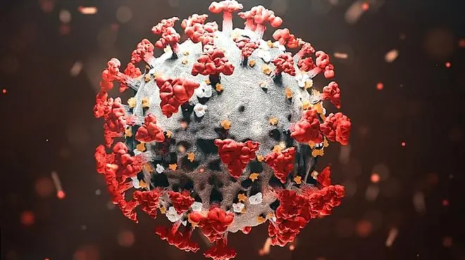 కరోనావైరస్