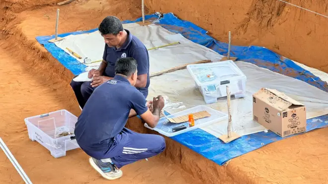 මුලතිව් කොක්කුතුඩුවායි සමූහ මිනිවළ තුළින් තවත් මිනිස් සිරුරු 5කට අදාළ අස්ථි කොටස් අද (15) ගොඩගත් බව කැළණිය විශ්ව විද්යාලයේ පුරාවිද්යව පිළිබඳ ජ්යෙෂ්ඨ මහාචාර්ය රාජ් සෝමදේව පැවසීය.