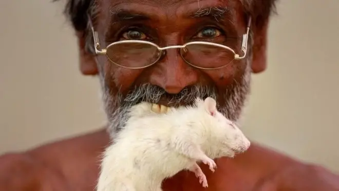 چناگوڈانگی پالانیسامی کہتے ہیں کہ اگر ان کی مدد نہ کی گئی تو وہ چوہے کھانے پر محبور ہو جائیں گے