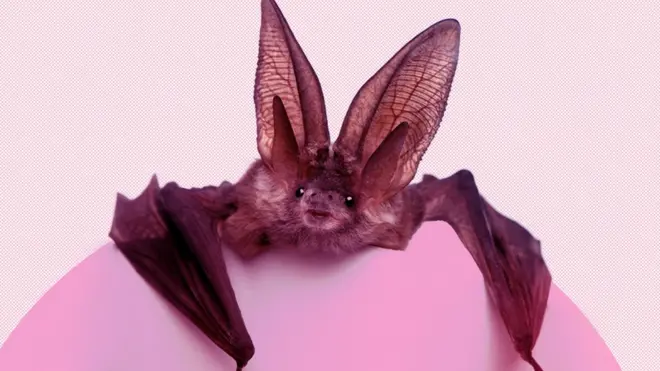 ذرا ان معصوم آنکھوں میں جھانک کر دیکھیں