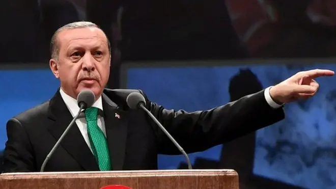 Эрдоган обвинял власти Нидерландов в использовании нацистских методов