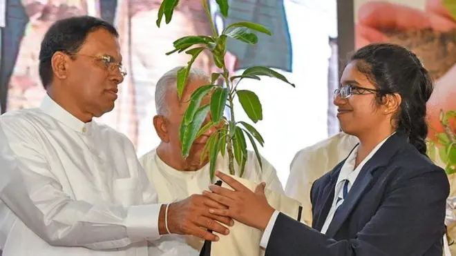 ගස් කැපීමට මගේ අනුමැතිය ගත යුතුයි - ජනාධිපති
