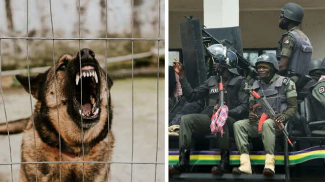 Police confirm dem keep girl wey dey bark like dog for cell, arrest boyfriend