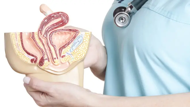 Pelvis model held by nurse