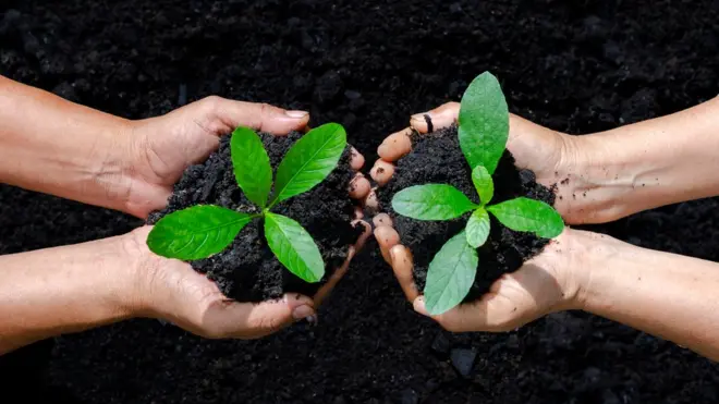 पर्यावरण, निसर्ग, हवामान बदल