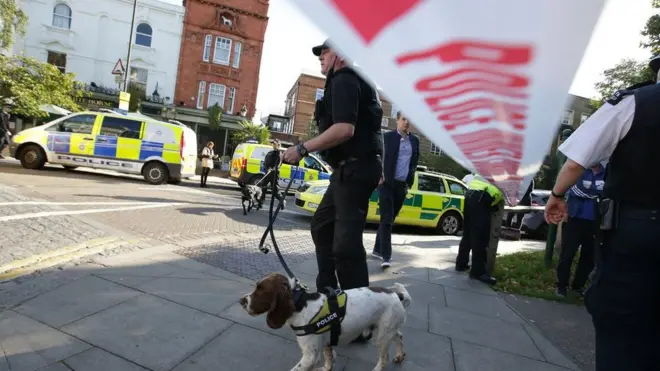 На місці також працювали поліцейські із натренованими собаками