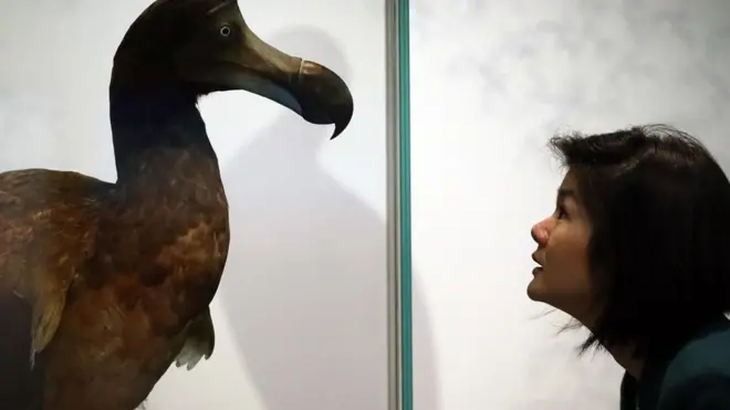 (圖片來源: Getty Images)