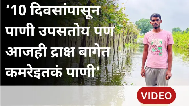 द्राक्षाच्या पंढरीत शेतकऱ्यांचं लाखोंचं नुकसान