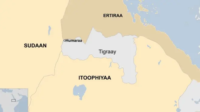 Kaartaa Humaraa, Tigraay