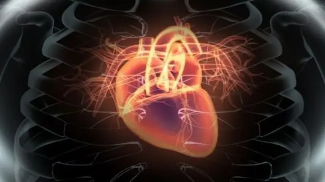 ماهرین وايي، دغه معاینات خورا ارزان بیه دي