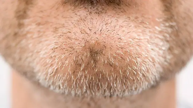 సైన్స్, పరిశోధన