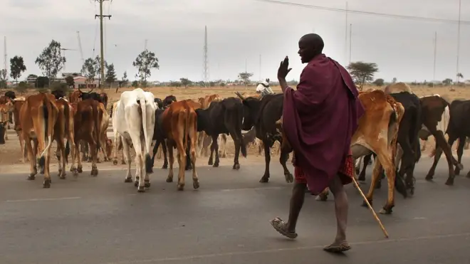 Wafugaji wa jamii ya Wamaasai kutoka Kenya wamekuwa wakivuka mpanga na kuingia Tanzania kutafuta malisho