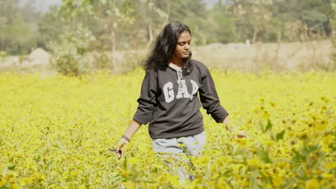 వలిసె పూలు అరకు, విశాఖపట్నం, ఏజెన్సీ, ఆంధ్రప్రదేశ్